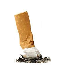 Image showing Single cigarette butt with ash isolated on