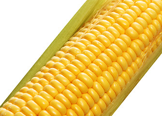 Image showing corn background