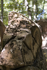 Image showing Stones in a wood