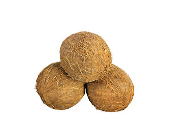 Image showing coconuts isolated on white