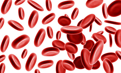 Image showing Blood cells on the white background