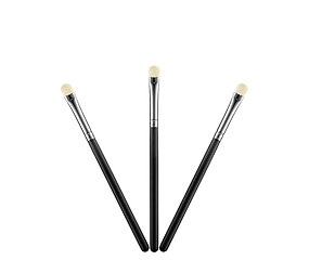 Image showing Professional make-up brushes