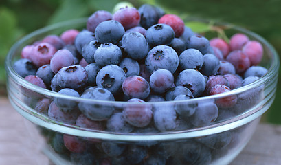 Image showing Blueberries in a glass bowl isolated
