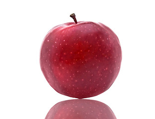 Image showing Dark-red apple. Isolated on white background