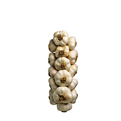 Image showing Bunch of garlic