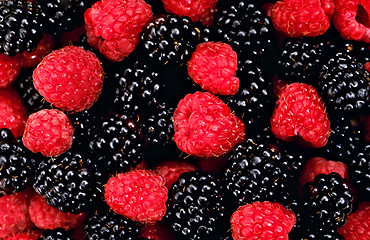 Image showing raspberry and blackberry close up