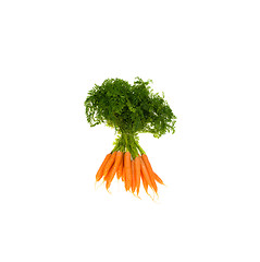 Image showing Bunch orange carrots with green leaves isolated