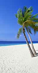 Image showing Landscape photo of tranquil island beach