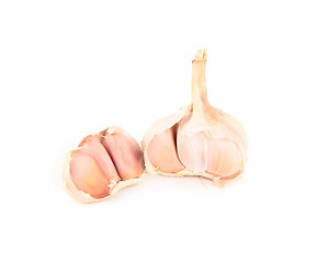 Image showing Garlic isolated on white