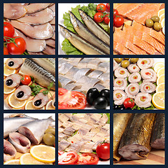 Image showing fish collage