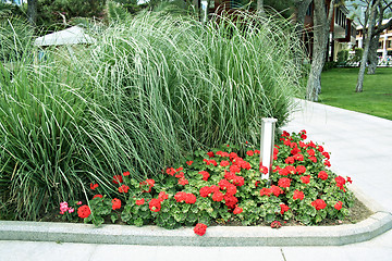 Image showing Formal garden with blooming flowers in the summer