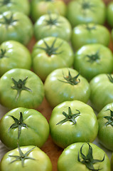 Image showing Fresh green tomatoes background