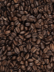 Image showing Background from coffee beans