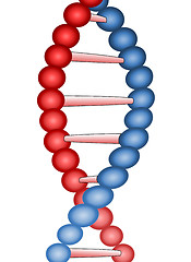 Image showing Molecule of DNA, genetic information isolated