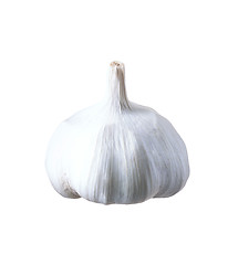 Image showing Garlic isolated on white background.