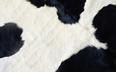 Image showing cow texture