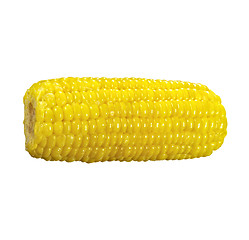 Image showing Yellow corn on a white background