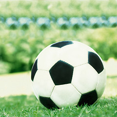 Image showing Football ball on the grass