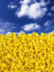 Image showing Sweet corn with beautiful sky