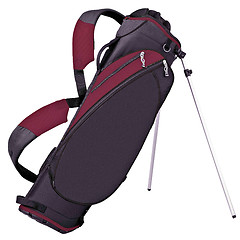 Image showing Golf bag