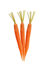 Image showing carrots on white