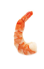 Image showing Closeup view of shrimp isolated