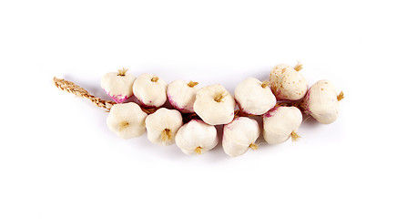 Image showing Bunch of garlic isolated on white