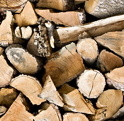 Image showing Pile of wooden logs