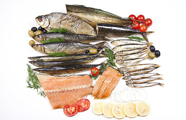 Image showing great composition of different fish