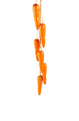 Image showing plastic carrots on white