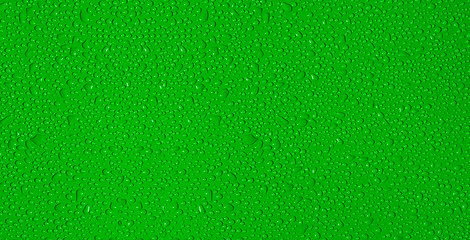 Image showing drops of water on a green background