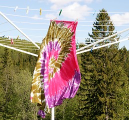 Image showing Dress on clothesline
