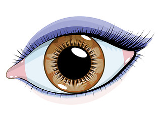 Image showing Brown eyes with makeup on a white background