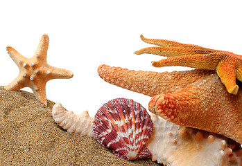 Image showing Seashore Still Life