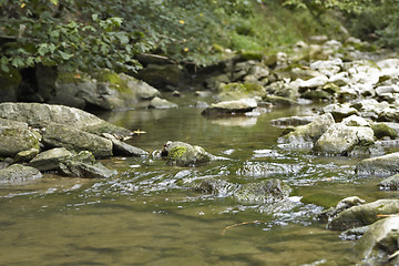 Image showing idyllic stream detail