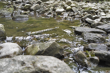 Image showing stony stream detail