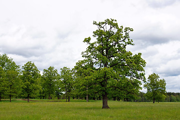 Image showing Landscape