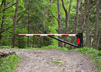 Image showing Barrier, blocking the road into the woods