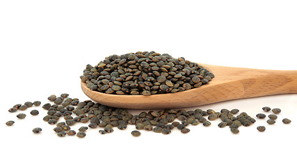 Image showing Puy Lentils