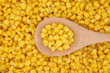 Image showing Sweet Corn