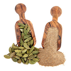 Image showing Cardamom  Spice