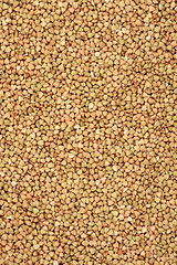 Image showing Buckwheat