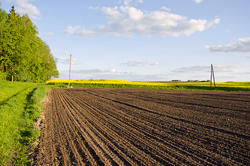 Image showing Plowed rapeseed rural agricultural fields blue sky 