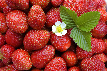 Image showing  Strawberry.