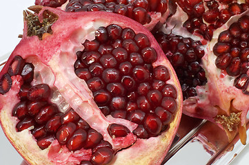 Image showing Pomegranate.