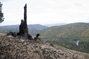 Image showing Stump on a background of mountains