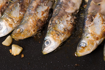 Image showing Roast sardines