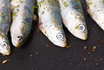 Image showing Fish on the griddle