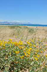 Image showing Mediterranean spring