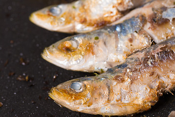 Image showing Sardines on the griddle